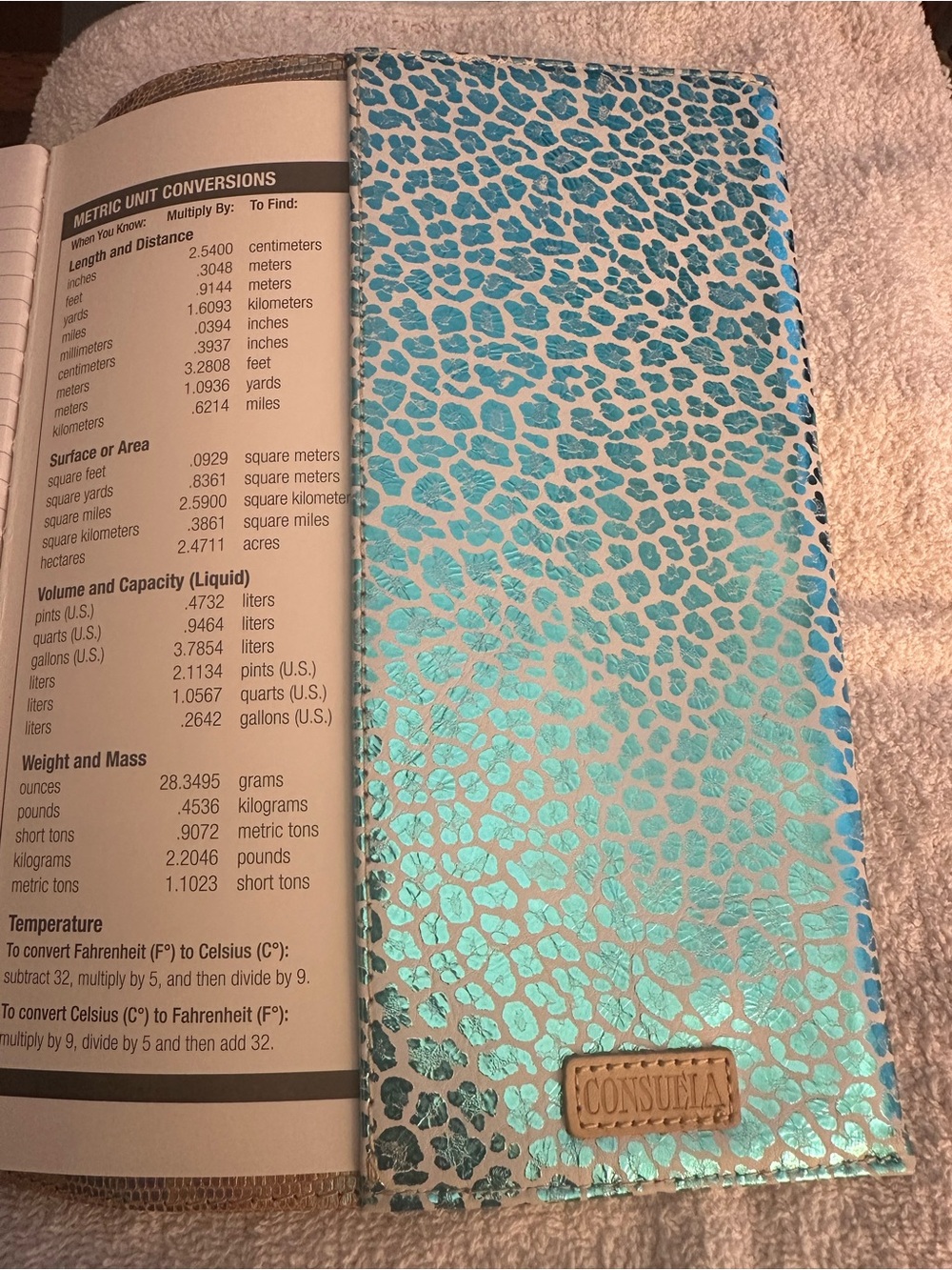 Consuela (Gloria) Textured Iridescent Composition Notebook - Picture 5 of 5